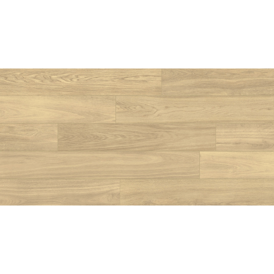 SUPREME ZEBRA 20X120